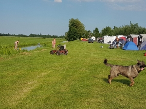 boerencamping Doornenbal in Nieuwersluis